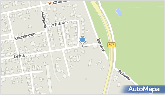 DHL POP Sklep spożywczo-przemysłowy, Leśna 72, Opalenica 64-330, godziny otwarcia