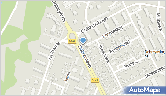 DHL POP ŻABKA, Dobrzyńska 46, Płock 09-400, godziny otwarcia