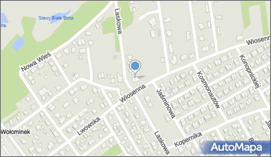 DHL POP ŻABKA, WIOSENNA 1D, Wołomin 05-200, godziny otwarcia