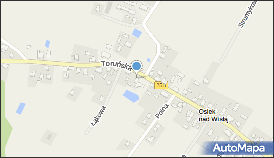 DHL POP ŻABKA, TORUŃSKA 33, Osiek nad Wisłą 87-125, godziny otwarcia