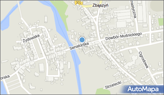 DHL ServicePoint, Senatorska 11, Zbąszyń 64-360, godziny otwarcia