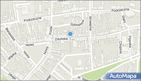 DHL ServicePoint, Zduńska 41, Łowicz 99-400, godziny otwarcia