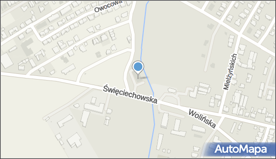 Dino, Święciechowska 87, Leszno 64-100, godziny otwarcia