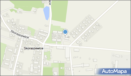 Dino, Skoraszewice 33A, Pępowo 63-830, godziny otwarcia