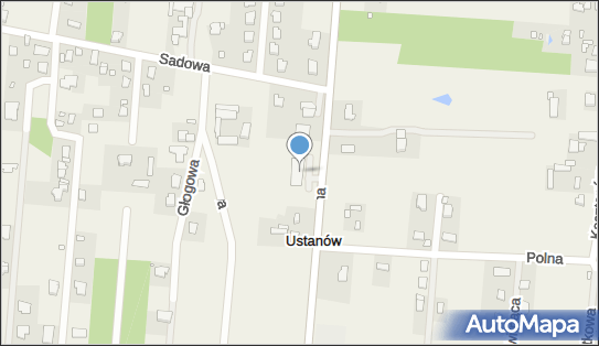 Dino, Główna 43C, Zalesie Górne 05-540, godziny otwarcia