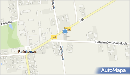 Dino, Batalionów Chłopskich 1C, Rościszewo 09-204, godziny otwarcia