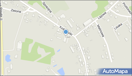 Dino, Kościuszki 35A, Otyń 67-106, godziny otwarcia