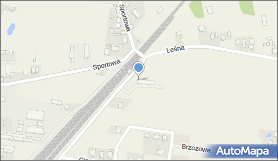 Dino, Przejazdowa 14, Rogów 95-063, godziny otwarcia