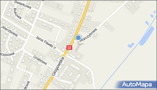 Dino, Storczykowa 1, Radwanice 59-160, godziny otwarcia