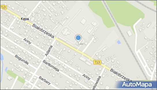 Dino, Ul. Białobrzeska 57/59, Tomaszów Mazowiecki 97-200, godziny otwarcia