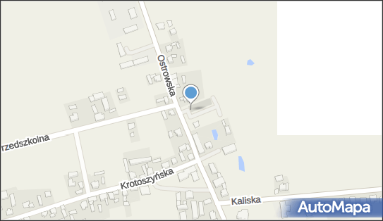 Dino, Ostrowska 15A, Raszków 63-440, godziny otwarcia