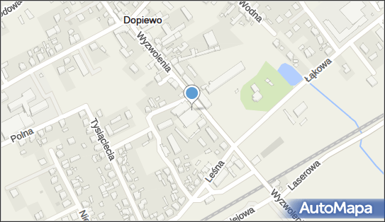 Dino, Wyzwolenia 16B, Dopiewo 62-070, godziny otwarcia