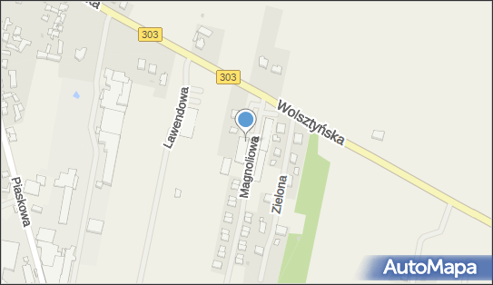 Dino, Ul. Wolsztyńska 72, Siedlec 64-212, godziny otwarcia