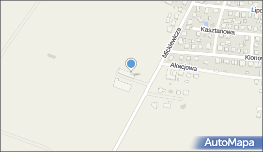 Dino, Adama Mickiewicza 45, Jutrosin 63-930, godziny otwarcia