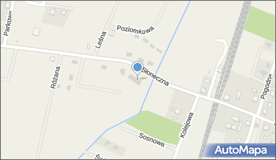 Dino, Słoneczna 22, Białuń 72-100, godziny otwarcia