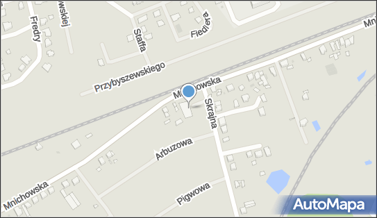 Dino, Mnichowska 13A, Gniezno 62-200, godziny otwarcia