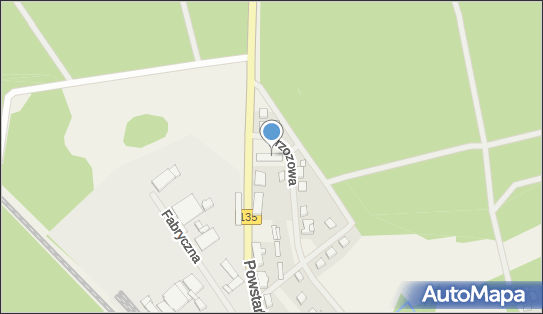 Dino, Brzozowa 1A, Miały 64-735, godziny otwarcia