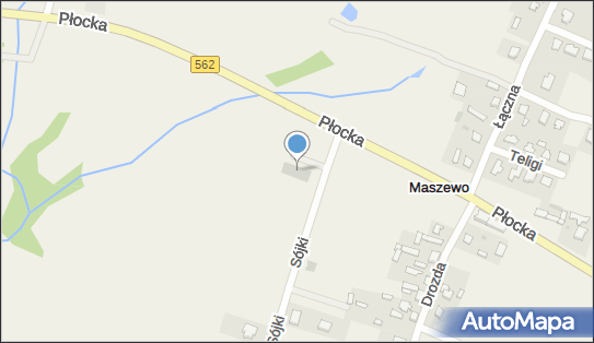 Dino, Sójki 4, Maszewo 09-400, godziny otwarcia