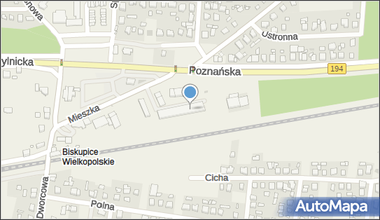Dino, Mieszka I 12A, Biskupice 62-007, godziny otwarcia