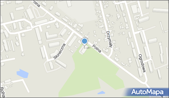 Dino, Polna 13, Pasłęk 14-400, godziny otwarcia