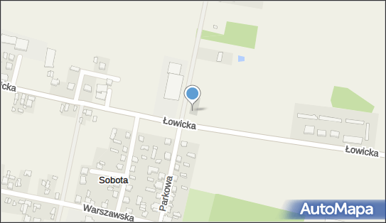 Dino, Łowicka 15A, Sobota 99-423, godziny otwarcia