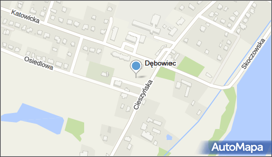 Dino, Cieszyńska 2, Dębowiec 43-426, godziny otwarcia