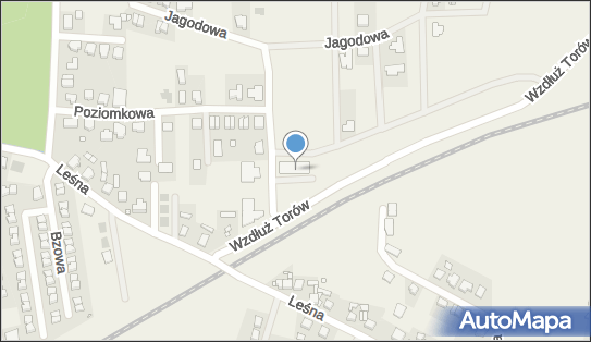 Dino, Żurawinowa 9, Dopiewo 62-070, godziny otwarcia