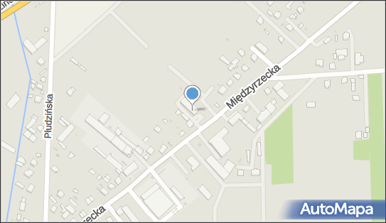 Dino, Międzyrzecka 71, Radzyń Podlaski 21-300, godziny otwarcia