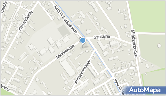 Dino, Mickiewicza 4A, Skwierzyna 66-440, godziny otwarcia