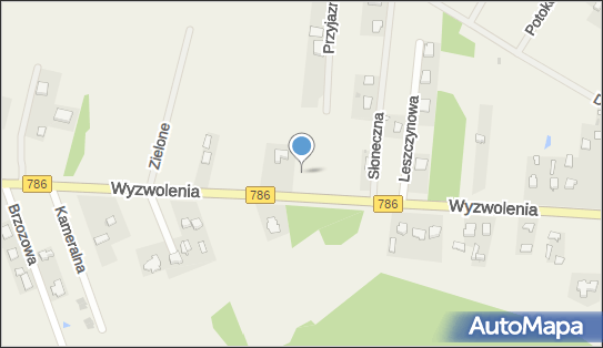 Dino, Wyzwolenia 60, Wancerzów 42-244, godziny otwarcia