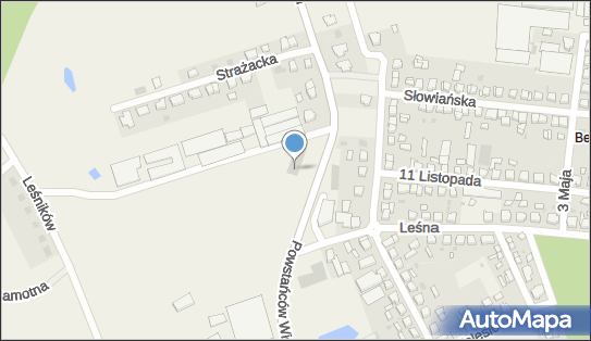 Dino, Powstańców Wielkopolskich 39A, Włoszakowice 64-140, godziny otwarcia