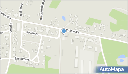 Dino, Antoniewska 16, Skoki 62-085, godziny otwarcia