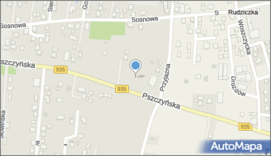 Dino, Pszczyńska 159, Żory 44-240, godziny otwarcia