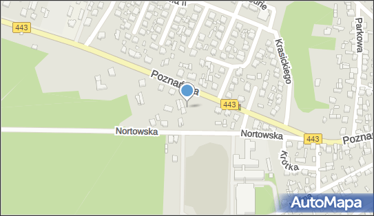 Dino, Poznańska 65A, Tuliszków 62-740, godziny otwarcia