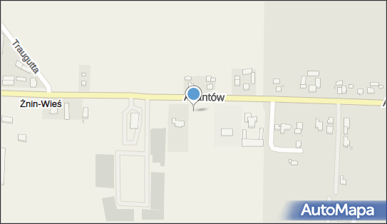 Dino, Aliantów 33C, Żnin- Wieś 88-400, godziny otwarcia