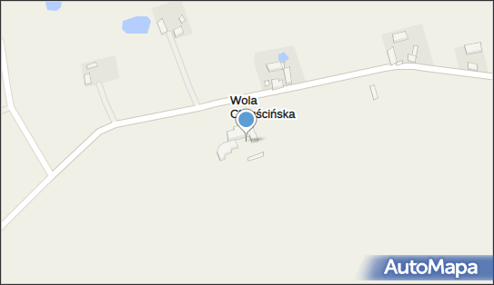 Dom Pomocy Społecznej, Wola Chruścińska 4, Wola Chruścińska 99-306 - Dom opieki, Hospicjum, numer telefonu