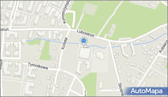 Domino's Pizza, Krakow, Lubostron 15
