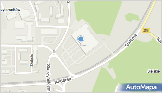 Domino's Pizza, Skarzynskiego 2, Bydgoszcz, godziny otwarcia, numer telefonu