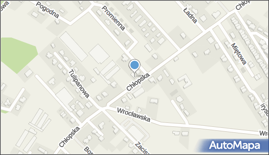 DPD Pickup Automaty, pon-ndz 00:00-24:00, Smolec, godziny otwarcia