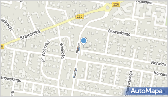 DPD Pickup Automaty, pon-ndz 00:00-24:00, Pruszcz Gdański, godziny otwarcia