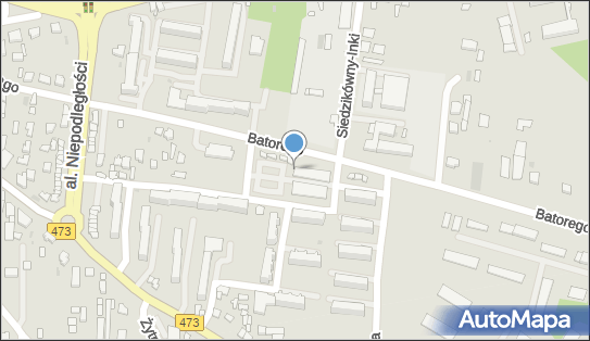 DPD Pickup Automaty, pon-ndz 00:00-24:00, Łask, godziny otwarcia