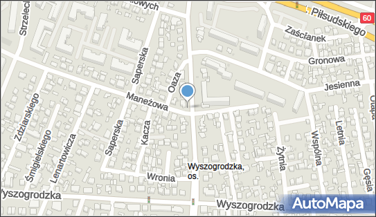 DPD Pickup Automaty, pon-ndz 00:00-24:00, Płock, godziny otwarcia