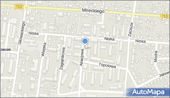 DPD Pickup Automaty, pon-ndz 00:00-24:00, Tomaszów Mazowiecki, godziny otwarcia
