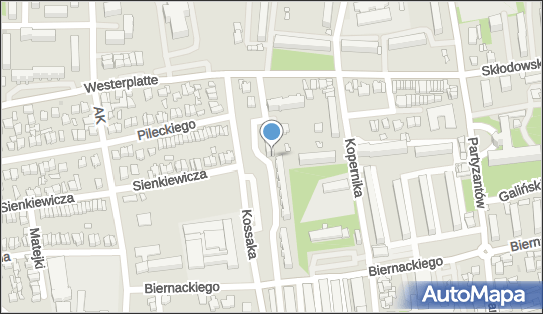 DPD Pickup Automaty, pon-ndz 00:00-24:00, Opoczno, godziny otwarcia