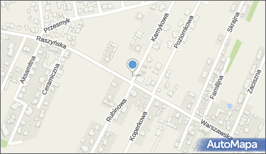 DPD Pickup Automaty, pon-ndz 00:00-24:00, Rybie, godziny otwarcia