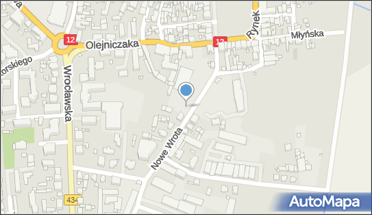 DPD Pickup Automaty, pon-ndz 00:00-24:00, Gostyń, godziny otwarcia
