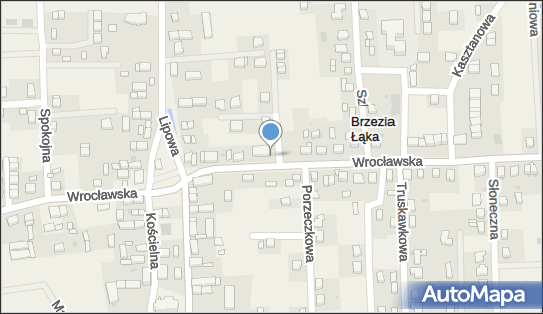 DPD Pickup Automaty, pon-ndz 00:00-24:00, Brzezia Łąka, godziny otwarcia