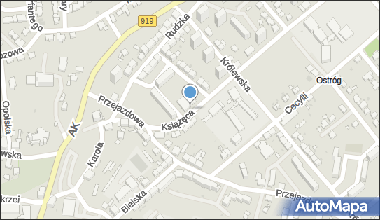 DPD Pickup Automaty, pon-ndz 00:00-24:00, Racibórz, godziny otwarcia