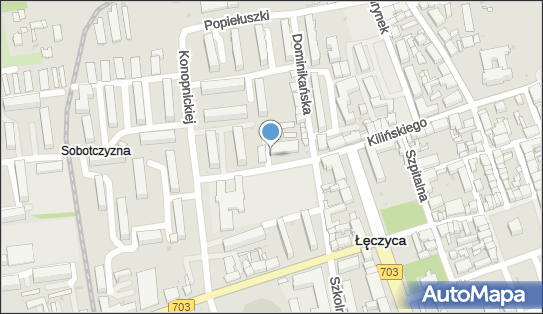 DPD Pickup Automaty, pon-ndz 00:00-24:00, Łęczyca, godziny otwarcia