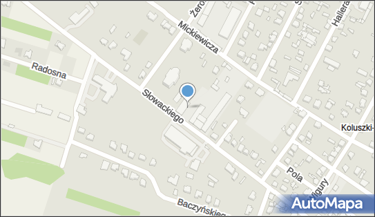 DPD Pickup Automaty, pon-ndz 00:00-24:00, Koluszki, godziny otwarcia